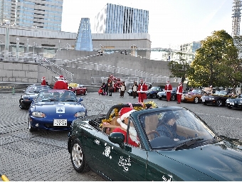 DSC_0206.jpg